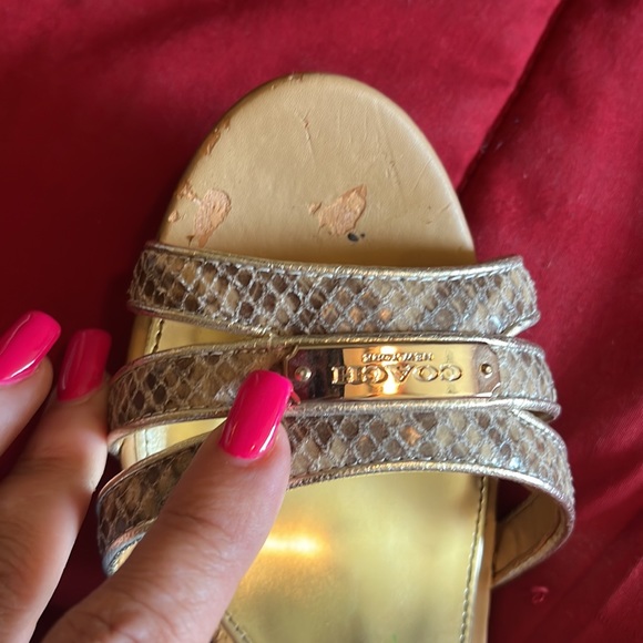 Coach Snake print only worn once to a wedding. - Picture 3 of 6